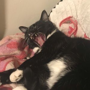 Meet your Posher, Jackie